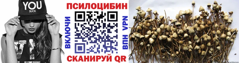 Псилоцибиновые грибы MAGIC MUSHROOMS  Апрелевка 