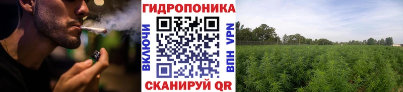 Бошки марихуана White Widow Апрелевка